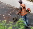 Автор видео из тульского сквера: «Рабочий ходит и косит асфальт!»