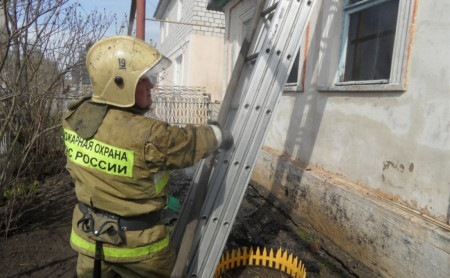 Жизнь Тулы и области