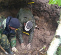 В Тульской области в лесу поисковики нашли захоронение артиллеристов и лошадей