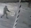 В Алексине цинично расстреляли собаку: видео 18+