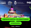 «Дикая Мята»: улучшенная инфраструктура, новые артисты в лайнапе и выступление на форуме «Россия»