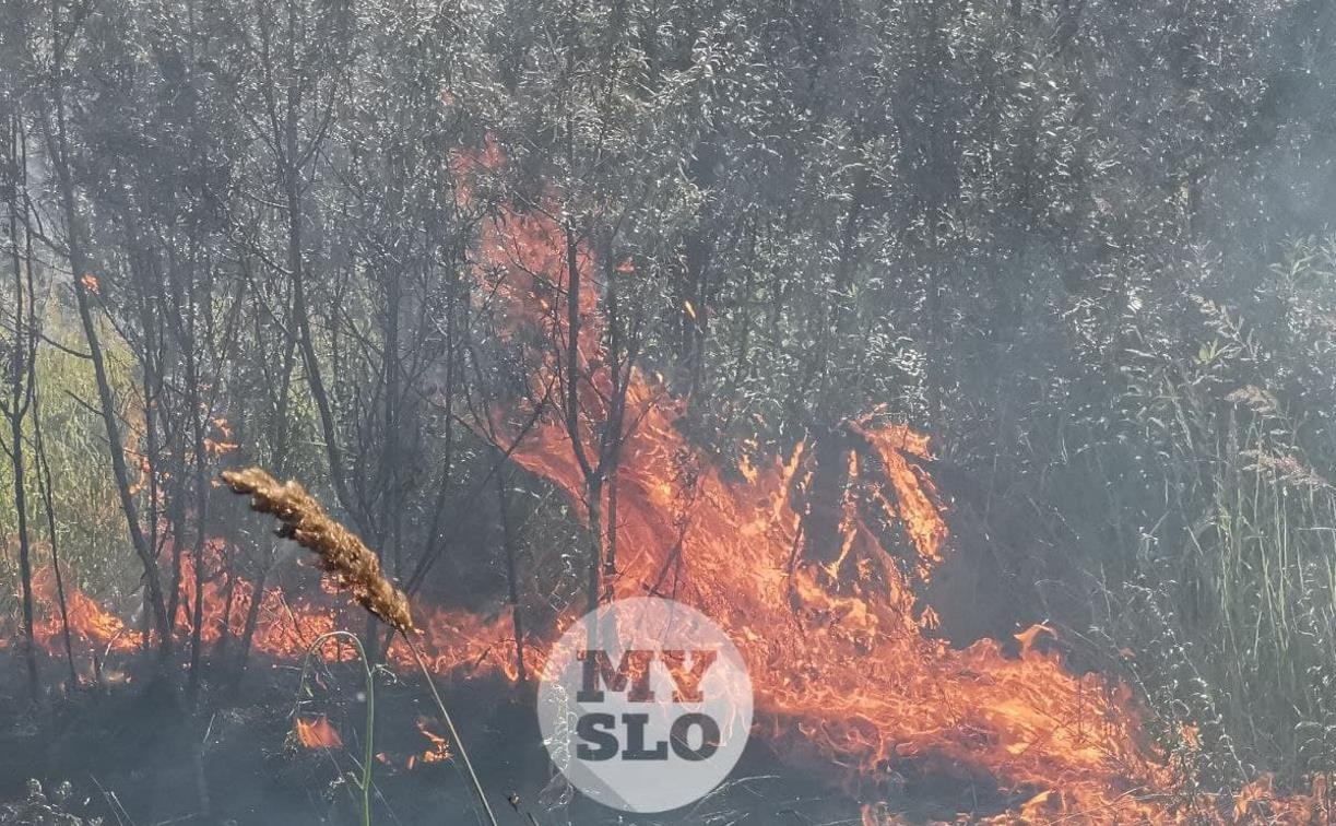 В Тульской области ожидается чрезвычайная степень пожароопасности