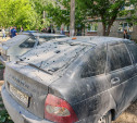 В Туле автовладельцы, пострадавшие от атак БПЛА, могут остаться без компенсации 