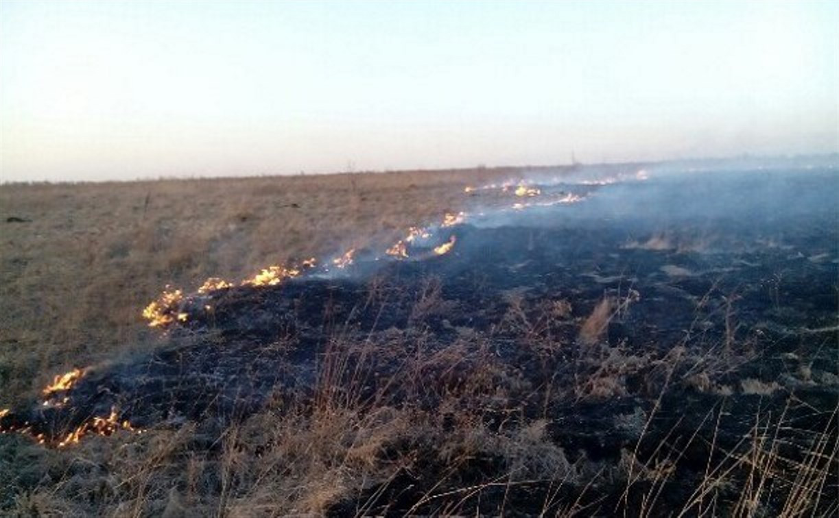 На минувших выходных тульские пожарные более 400 раз выезжали на тушение травы