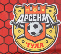 Футболисты «Арсенала» возвращаются в Тулу из национальных сборных