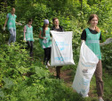 Волонтеры освободили от мусора Рогожинский парк в Туле