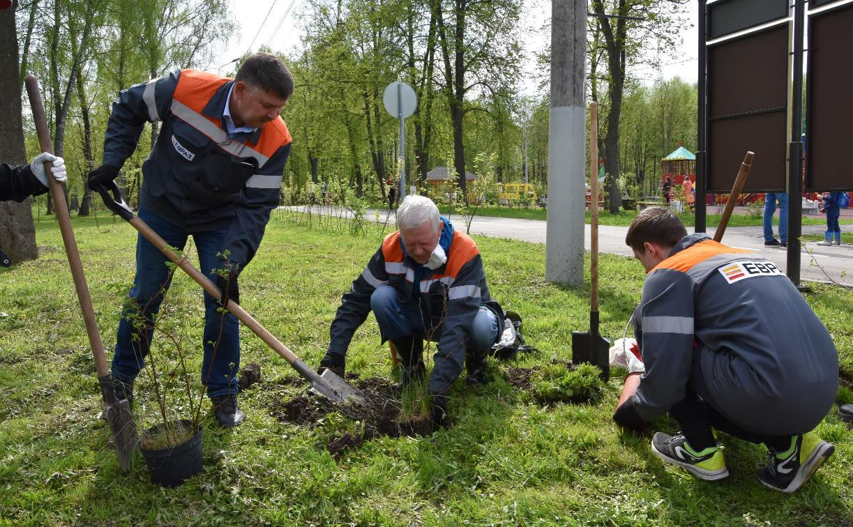 Сотрудники «ЕВРАЗ Ванадий Тула» посадили деревья в Баташевском саду