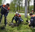 Сотрудники «ЕВРАЗ Ванадий Тула» посадили деревья в Баташевском саду