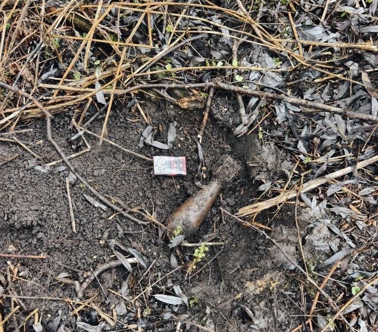 В Арсеньевском районе спасатели обезвредили мину времен ВОВ