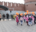 Депутаты Тульской гордумы вместе с жителями спели «День Победы» на Казанской набережной