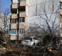 Во время урагана ветер повалил в Туле 30 деревьев
