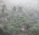 Погода в Туле 30 июня: дождливо, ветрено и до +25
