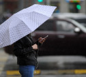 Погода в Туле 18 апреля: небольшой дождь, до +12 градусов