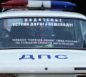 В Новомосковске под колеса Ford Focus попала 11-летняя девочка