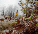 Погода в Туле 21 сентября: утренний мороз, дождь и ветер