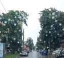 На ул. Свободы водитель прокатился «против шерсти»