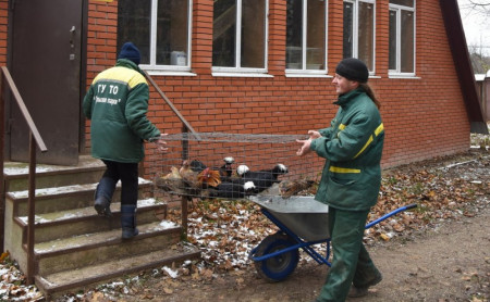 Жизнь Тулы и области