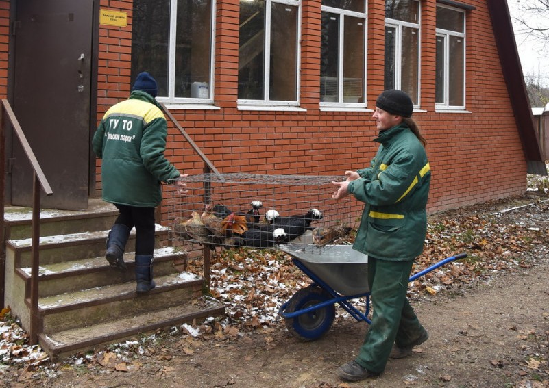 Теплолюбивые обитатели зооуголка Центрального парка переехали в зимние «квартиры»