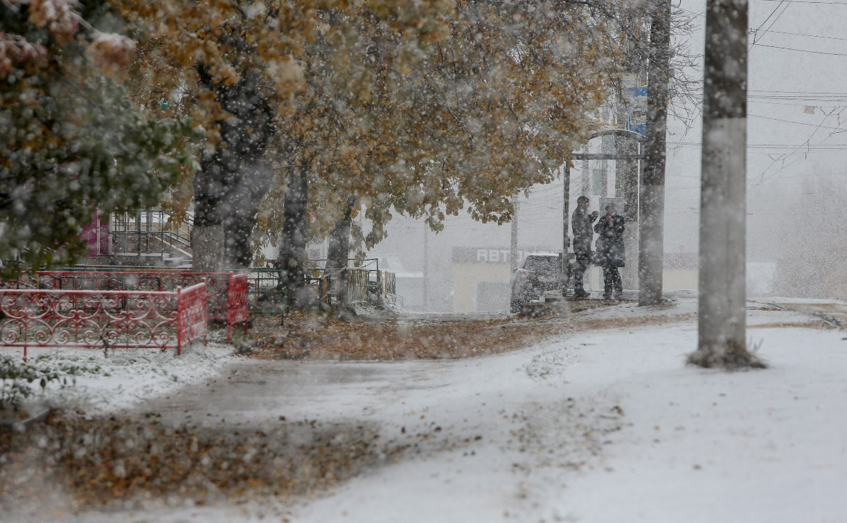 Первый снегопад в Туле: фоторепортаж
