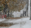 Первый снегопад в Туле: фоторепортаж