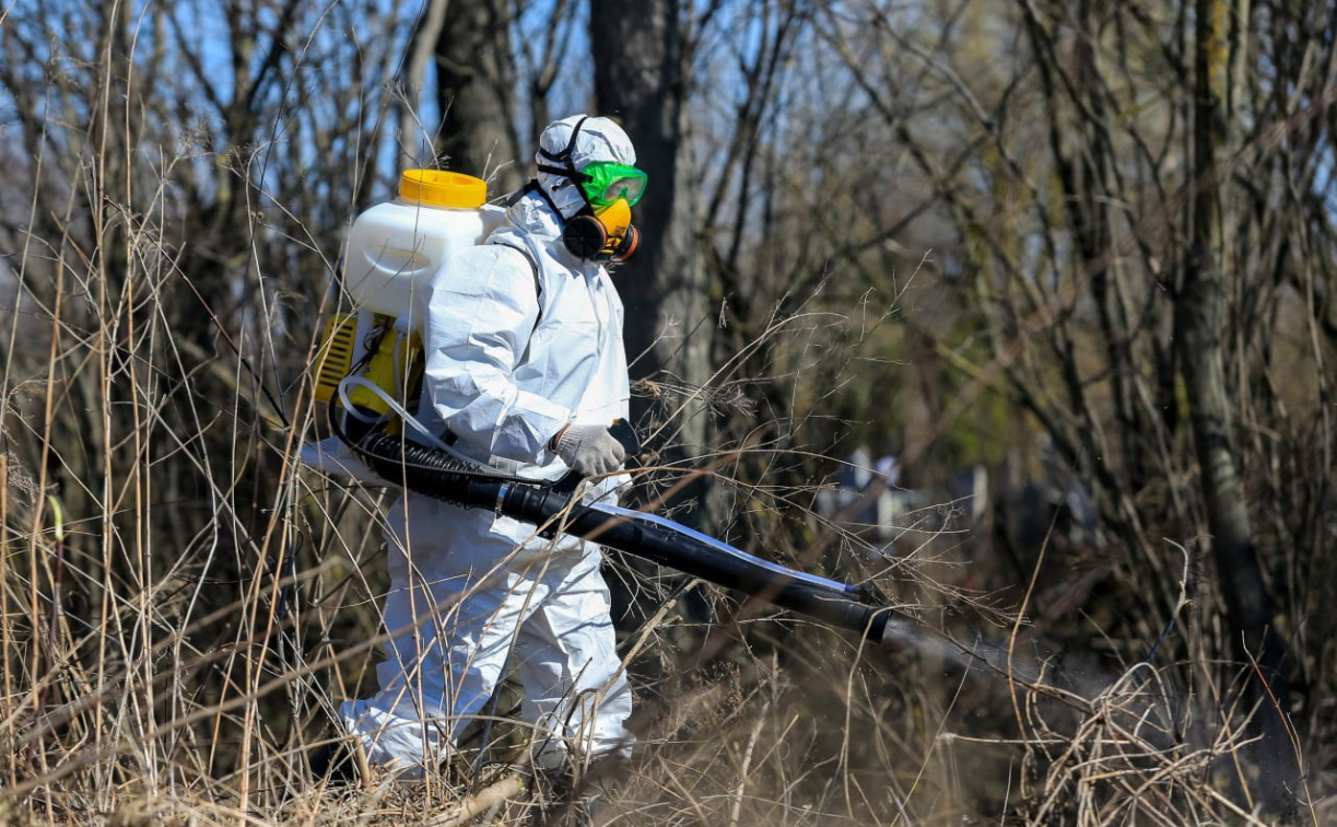 В Туле от клещей обработают территорию площадью более 160 гектаров