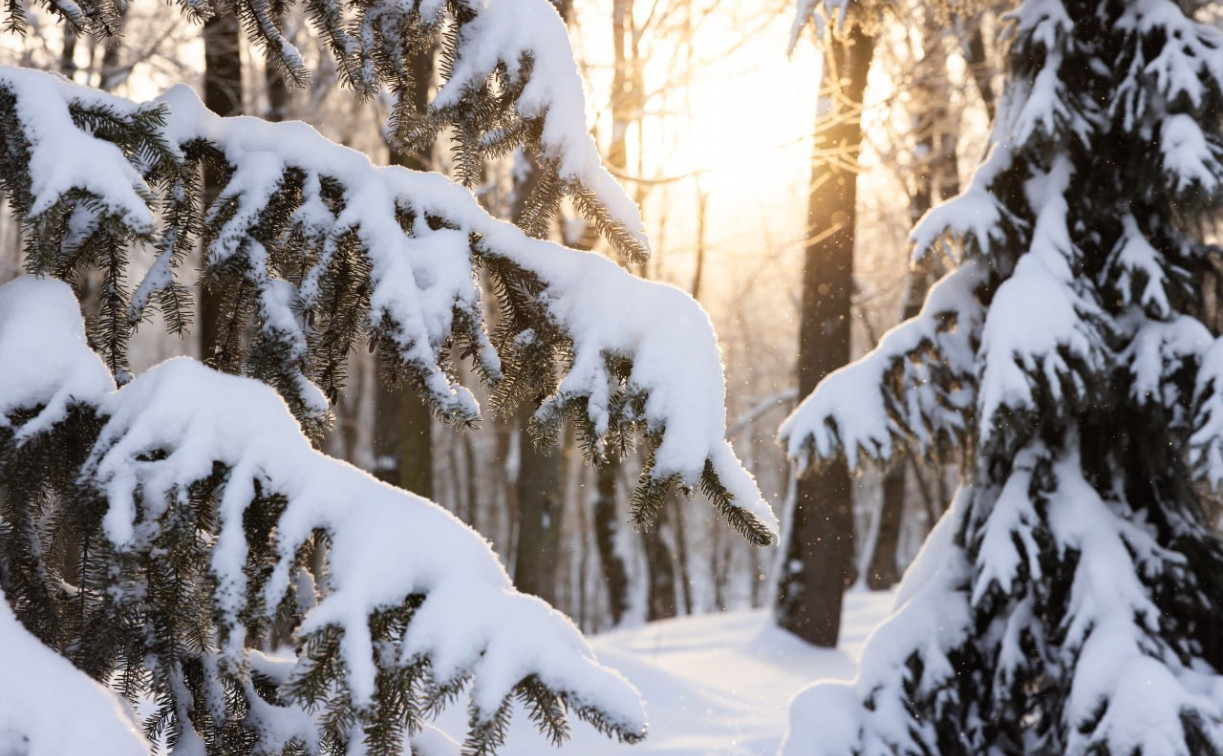 Аномальные морозы задержатся в Тульской области еще на несколько дней 