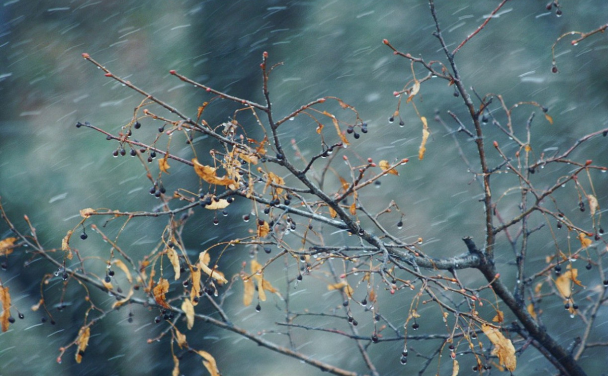 Октябрь завершится сильными дождями