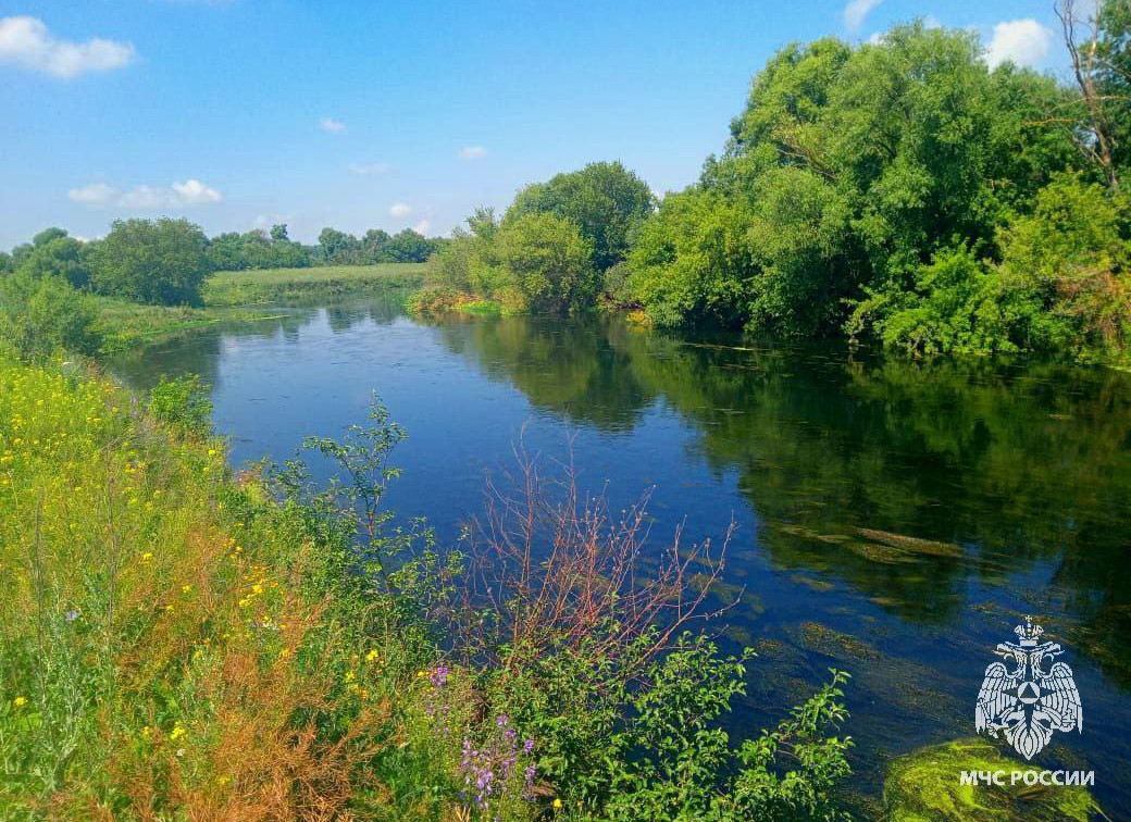 Тело 39-летнего мужчины извлекли из Красивой Мечи