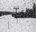 Погода в Туле на 5 февраля: минус 2 градуса и дождь со снегом