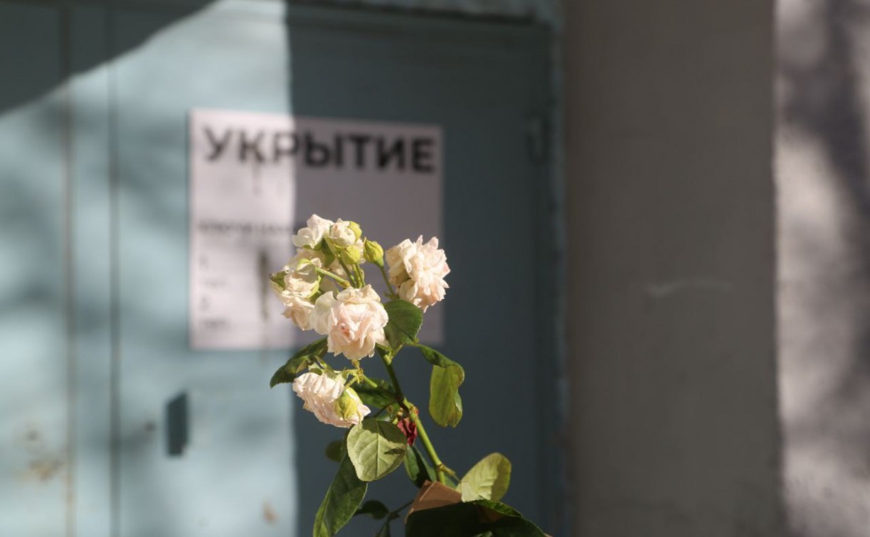 На ремонт укрытия на улице Первомайской в Туле потратят 15 миллионов рублей
