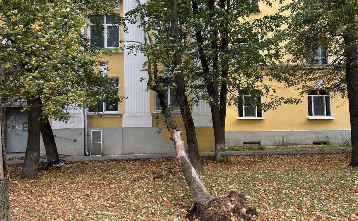 Выбитые окна и упавшие деревья: последствия непогоды в Туле 8 октября