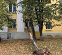 Выбитые окна и упавшие деревья: последствия непогоды в Туле 8 октября