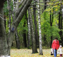 Ясногорцы недовольны состоянием городского парка