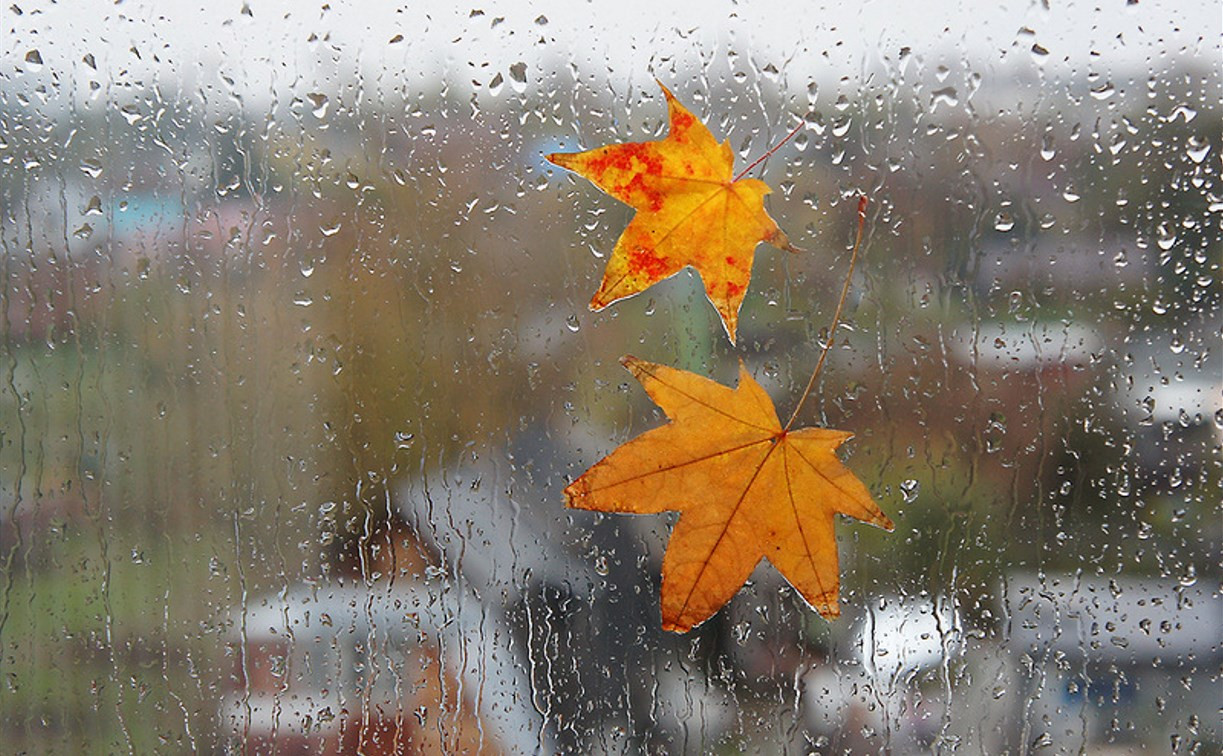 Погода в Туле 12 сентября: ветрено, тепло, небольшой дождь