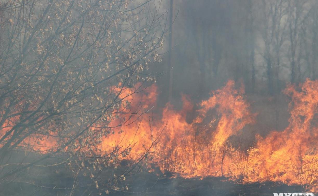 В Туле и Алексине ожидается высокая степень пожароопасности 