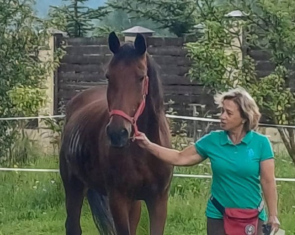 В Заокском районе лошадь по кличке Юджина едва не устроила ДТП, бегая по трассе