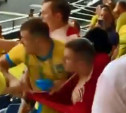 Во время матча Швеция – Украина фанат напал на уроженца Тулы