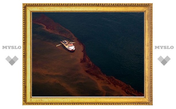 BP полностью перекрыла утечку нефти в Мексиканском заливе