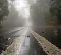 Погода в Туле 25 июля: дождь с грозой, туман и пониженное давление