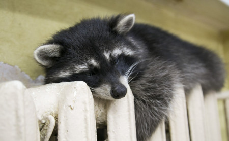 Жизнь Тулы и области