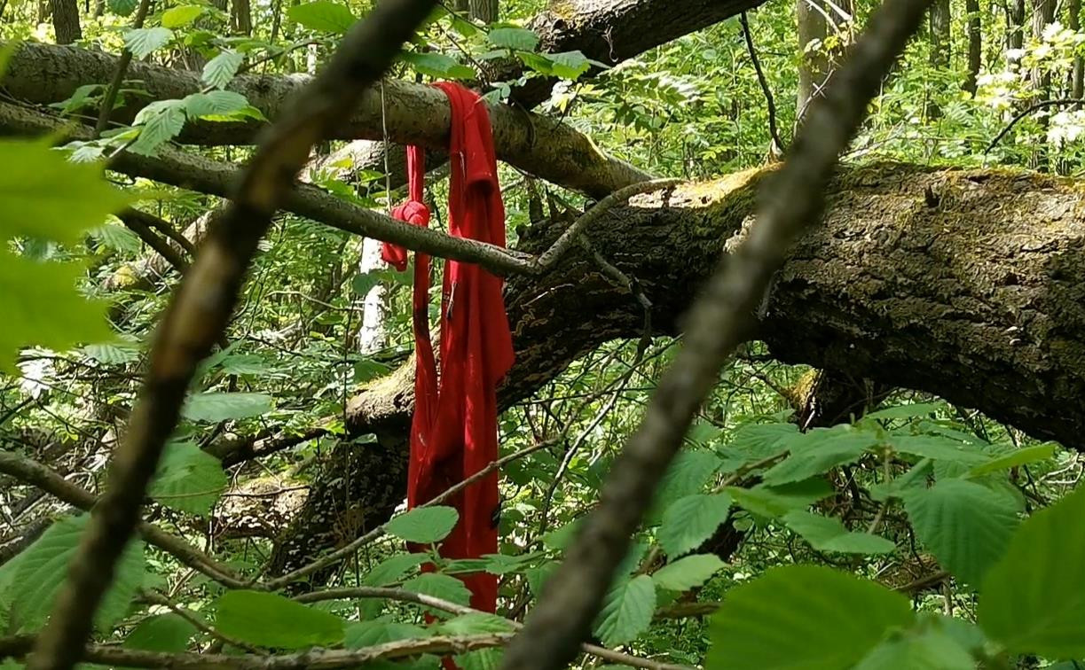 Корреспондент Myslo нашел в лесу останки женщины
