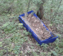Туляк обнаружил в лесополосе рядом с кладбищем выброшенные гробы