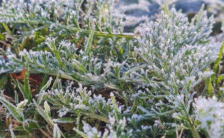 Жизнь Тулы и области