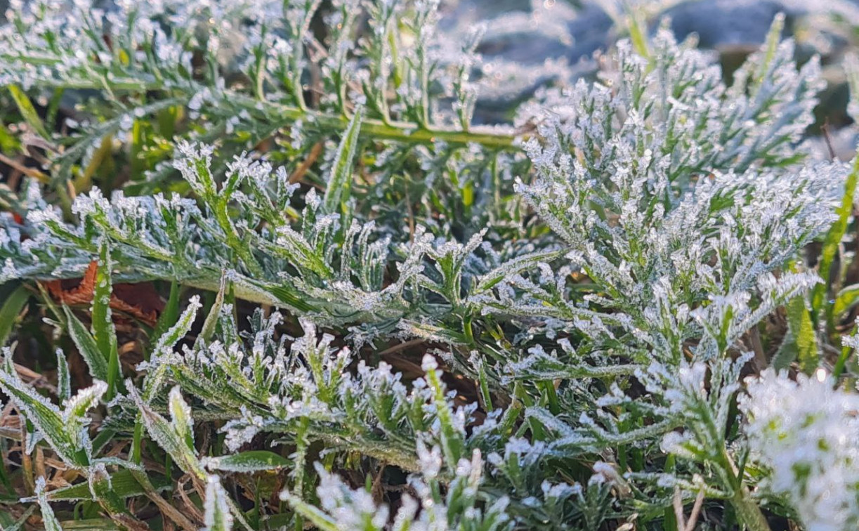 Погода в Туле 25 ноября: заморозки и без осадков