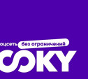 В России запустили новую социальную сеть LOOKY