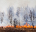 В Тульской области частично сохраняется 5 класс пожароопасности