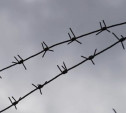 В Туле осудили наркодельца из Щекино: мужчина отправится в колонию строгого режима