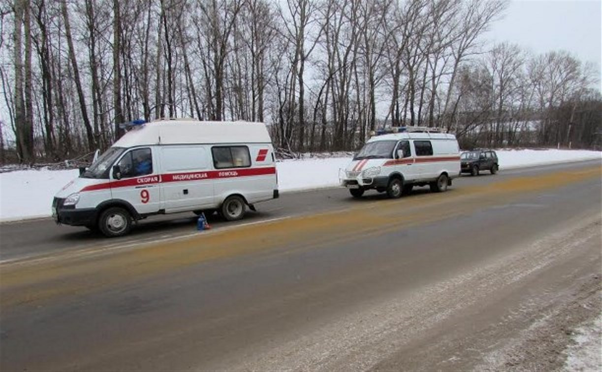 За сутки в авариях в Тульской области пострадали два пешехода