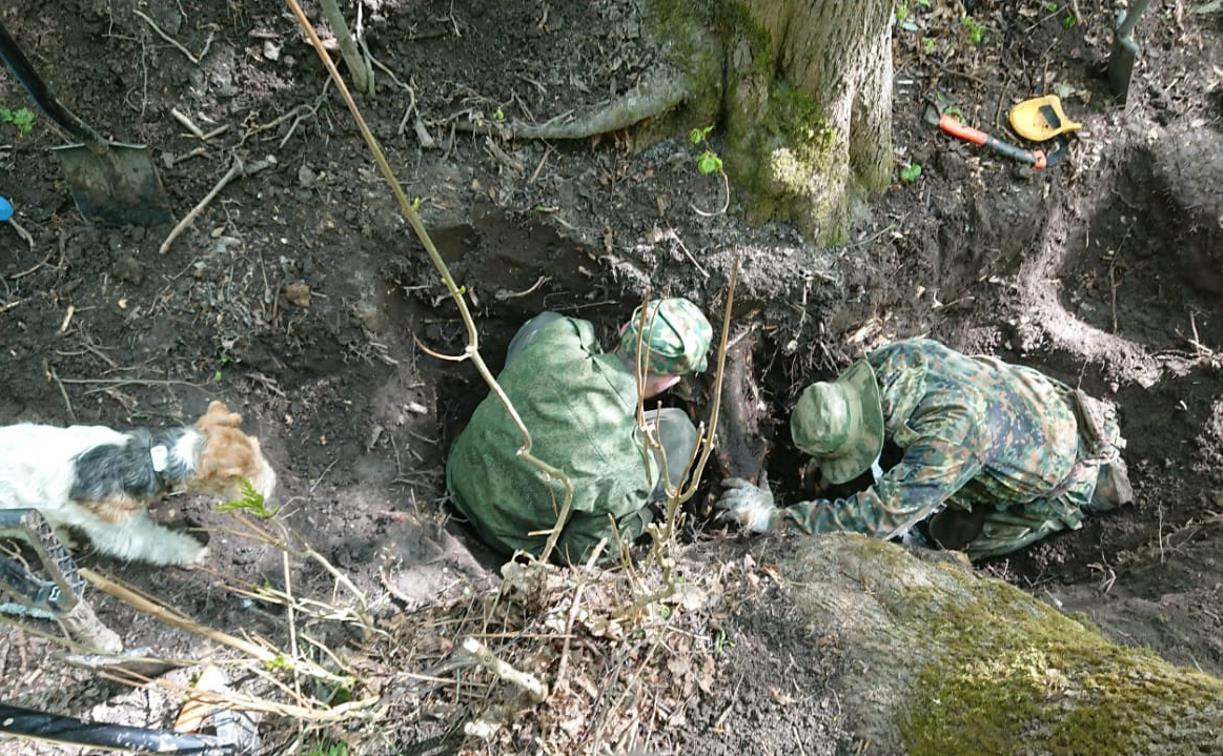 Тульские поисковики обнаружили в корнях дерева останки солдата