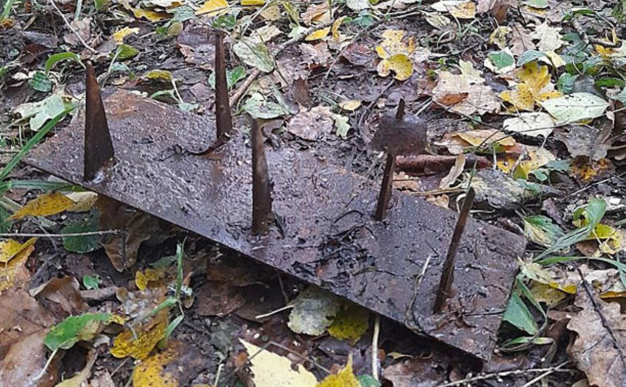 Новые ловушки для грибников в тульских лесах: пострадал человек